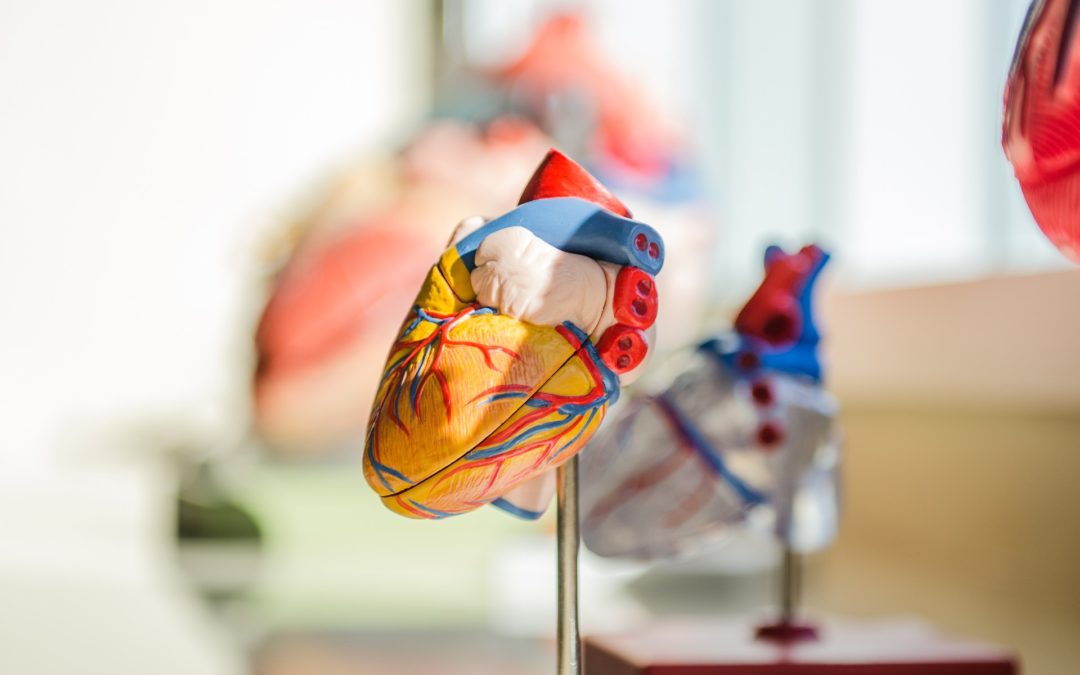 Congenital Heart Disease, what you need to know…now.