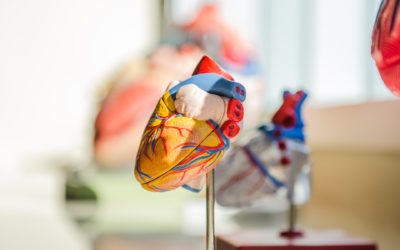 Congenital Heart Disease, what you need to know…now.